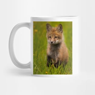 Red Fox Kit Mug